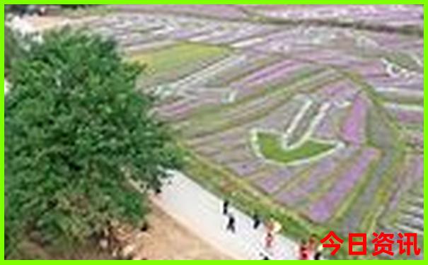 东山岛必去四个景点
